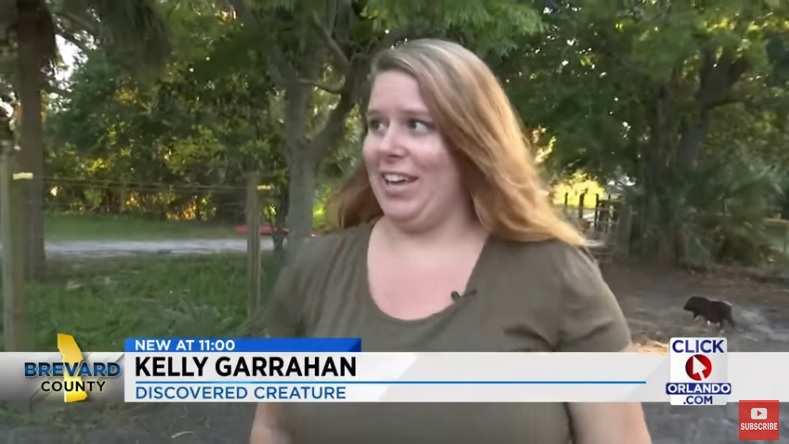 Kelly Garrahan: Discovered Creature
