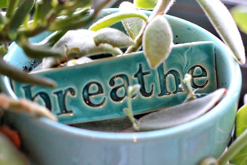 A ceramic sign reading "breathe" in the middle of a plant pot. (Photo by Mae Chevrette via Flickr/Creative Commons https://flic.kr/p/bnXATM)