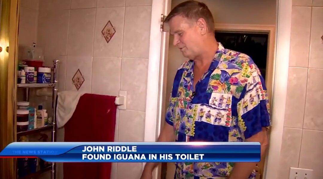 John Riddle: Found Iguana In His Toilet