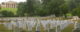 A field full of white military headstones at Arlington Cemetery. Arlington House is in the left background. (Photo by Torrey Wiley via Flickr/Creative Commons https://flic.kr/p/9YPeWQ)