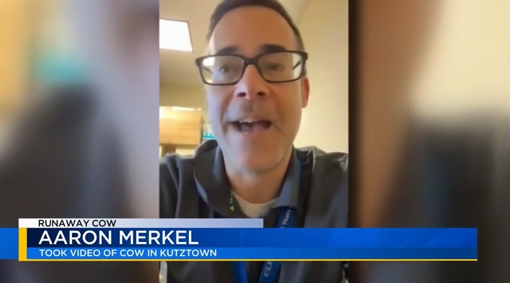 Aaron Merkel: Took Video Of Cow In Kutztown