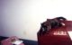 Schmooshy the cat sits on a dresser in a hotel room in Ohio.