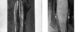 Portraits of Sam Brinkley. In one, his beard is listed as 5 ft. 3 inches, while in the other his beard is listed at 5 ft. 5 inches. Images from State Archives of North Carolina, via Flickr https://www.flickr.com/photos/north-carolina-state-archives/48416521491 and https://www.flickr.com/photos/north-carolina-state-archives/49811143107/in/photolist-2iTD8sc-2gLpk2V