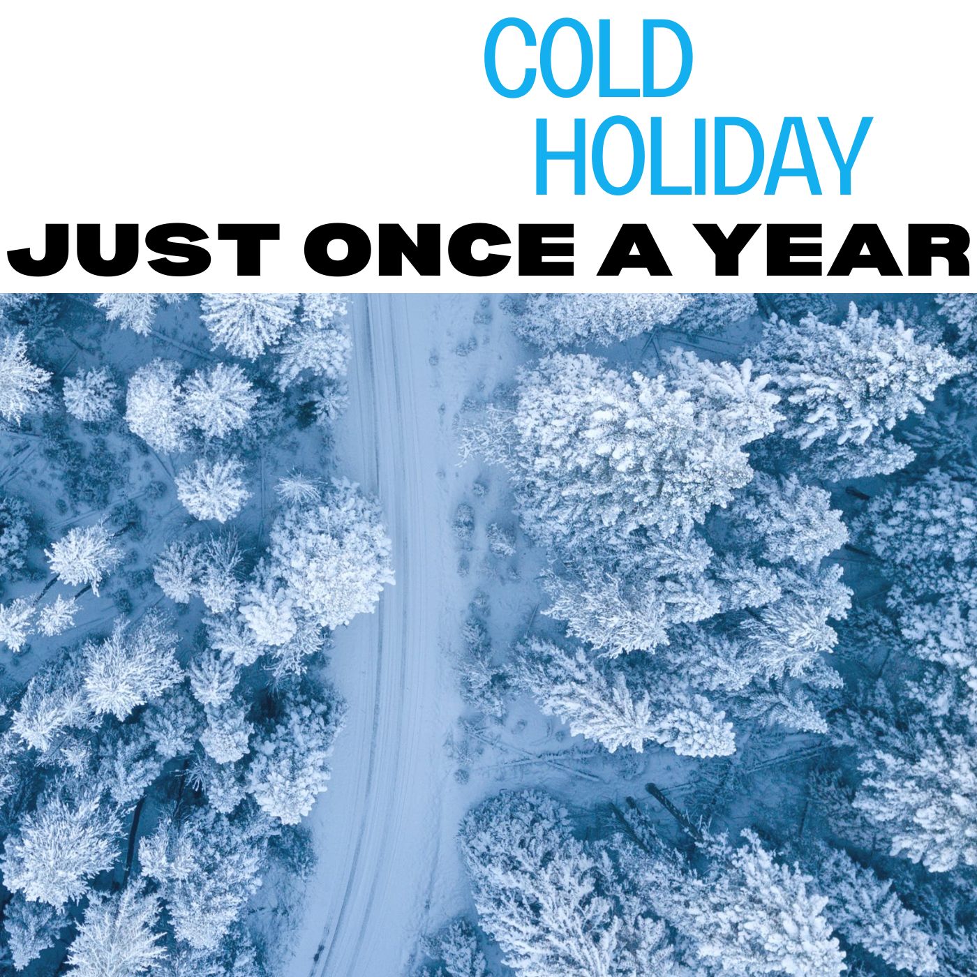 The cover of the Just Once A Year single by Cold Holiday.