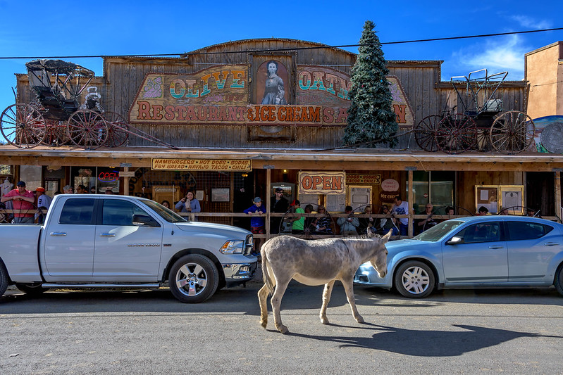 A donkey in front of a restaurant in Oatman, Arizona. (Photo by Thomas Hart via Flickr/Creative Commons https://flic.kr/p/J7oXwV)