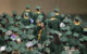 Students in kelly green caps and gowns take part in a commencement ceremony at the College of DuPage in 2018. One student waves back toward the camera. (Photo by COD Newsroom via Flickr/Creative Commons https://flic.kr/p/26hiPrU)