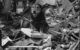 Air Raid Precautions dog 'Rip' sits on top of a pile of brick rubble and timber, following an air raid in Poplar, London. Image via Wikicommons https://en.wikipedia.org/wiki/Rip_(dog)#/media/File:Rip_Dicken_Medal_Dog_IWM_D_5937.jpg